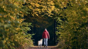Person-walking-with-dog-in-a-forest-trail-surrounded-by-green-spaces-and-autumn-leaves