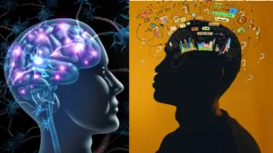 The-Law-of-Attractions-connection-to-brain-activity-and-thoughts