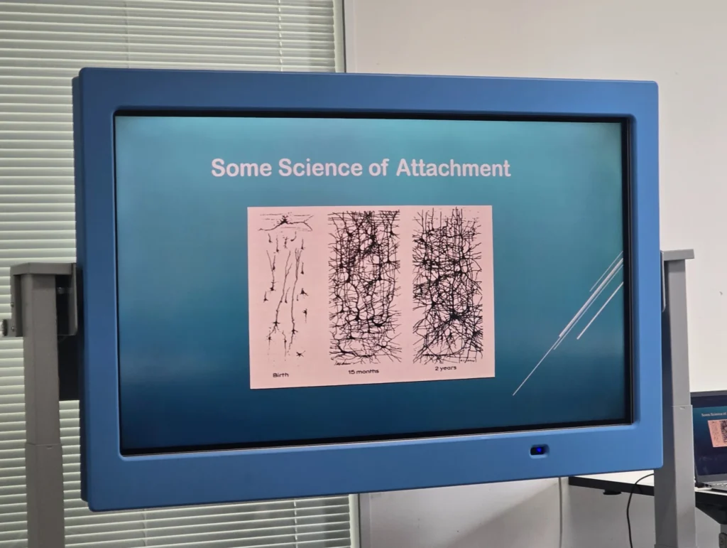 Slide-showing-a-comparison-of-neural-attachment-patterns-from-birth-to-two-years-as-part-of-a-presentation-on-attachment-science
