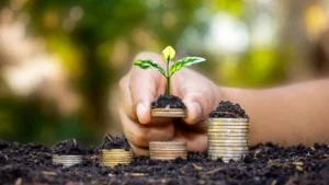 Sustainable-Growth-with-Money-and-Nature